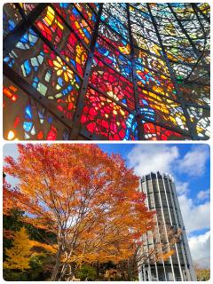 Erotic Escort Massage – Today's photo of Yuka(28) Photo2809125