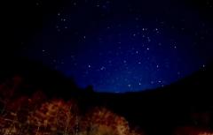 Erotic Escort Massage – Today's photo of Yuri(35) Photo1152168