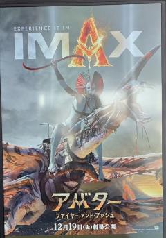 Erotic Escort Massage – Today's photo of Nell(30) Photo1132612