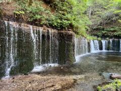 Erotic Escort Massage – Today's photo of Akane(23) Photo849755