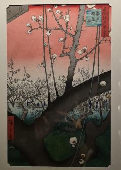 Erotic Escort Massage – Today's photo of Nell(30) Photo1335484