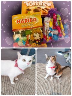 Erotic Escort Massage – Today's photo of Yuka(28) Photo932714