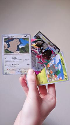 Erotic Escort Massage – Today's photo of Miya(24) Photo3839083