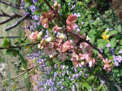 Erotic Escort Massage – Today's photo of Nico(19) Photo3891321