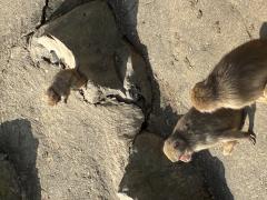 Erotic Escort Massage – Today's photo of Akane(23) Photo3468824