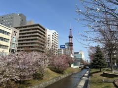 Erotic Escort Massage – Today's photo of Sakura(31) Photo1717874