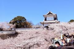 Erotic Escort Massage – Today's photo of Miya(24) Photo1133024