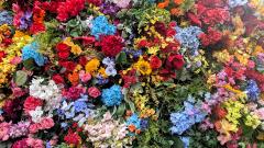 Erotic Escort Massage – Today's photo of Miya(24) Photo7080772